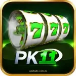PK11 Game